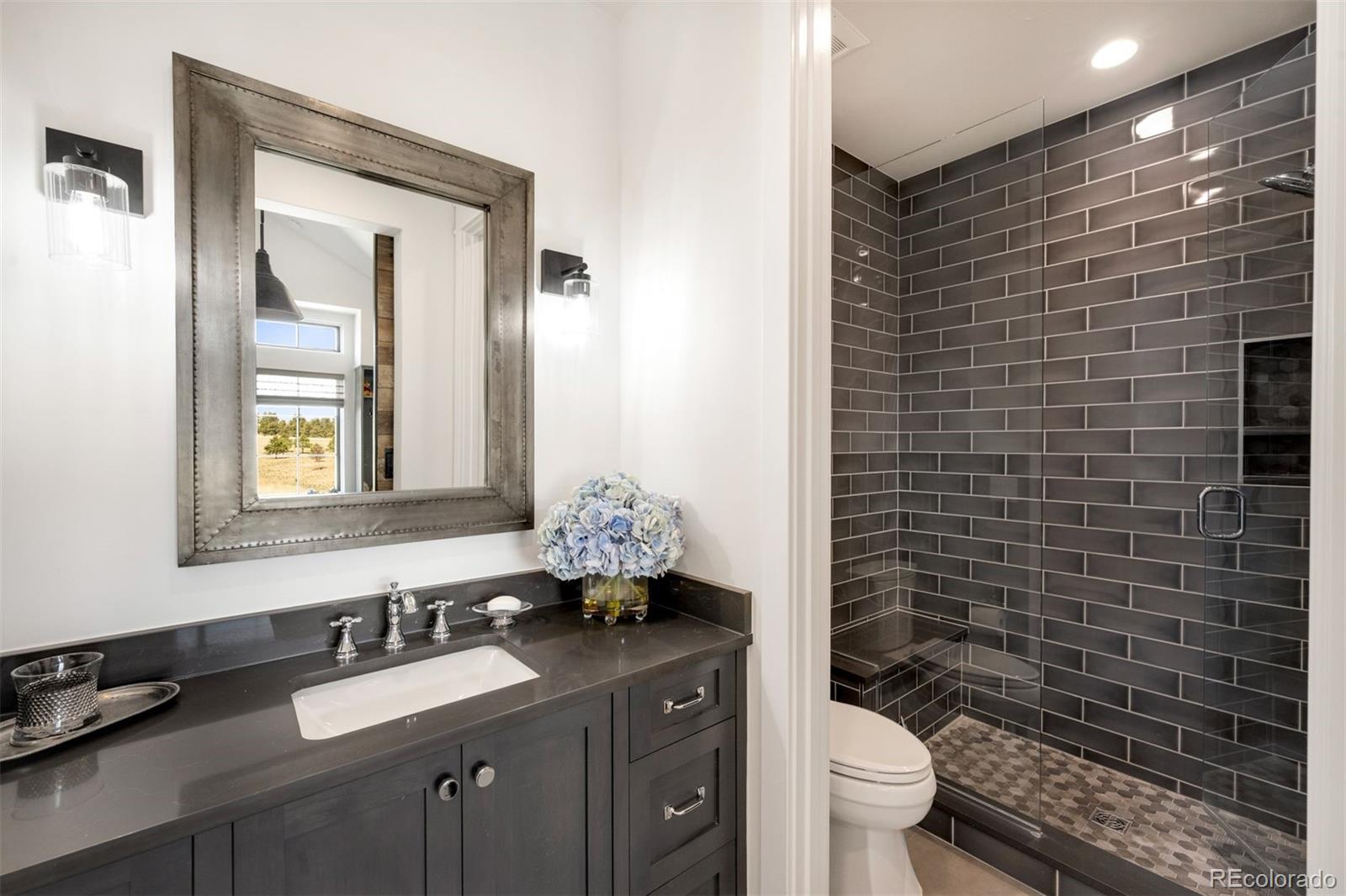 MLS Image #24 for 8758  witez court,parker, Colorado