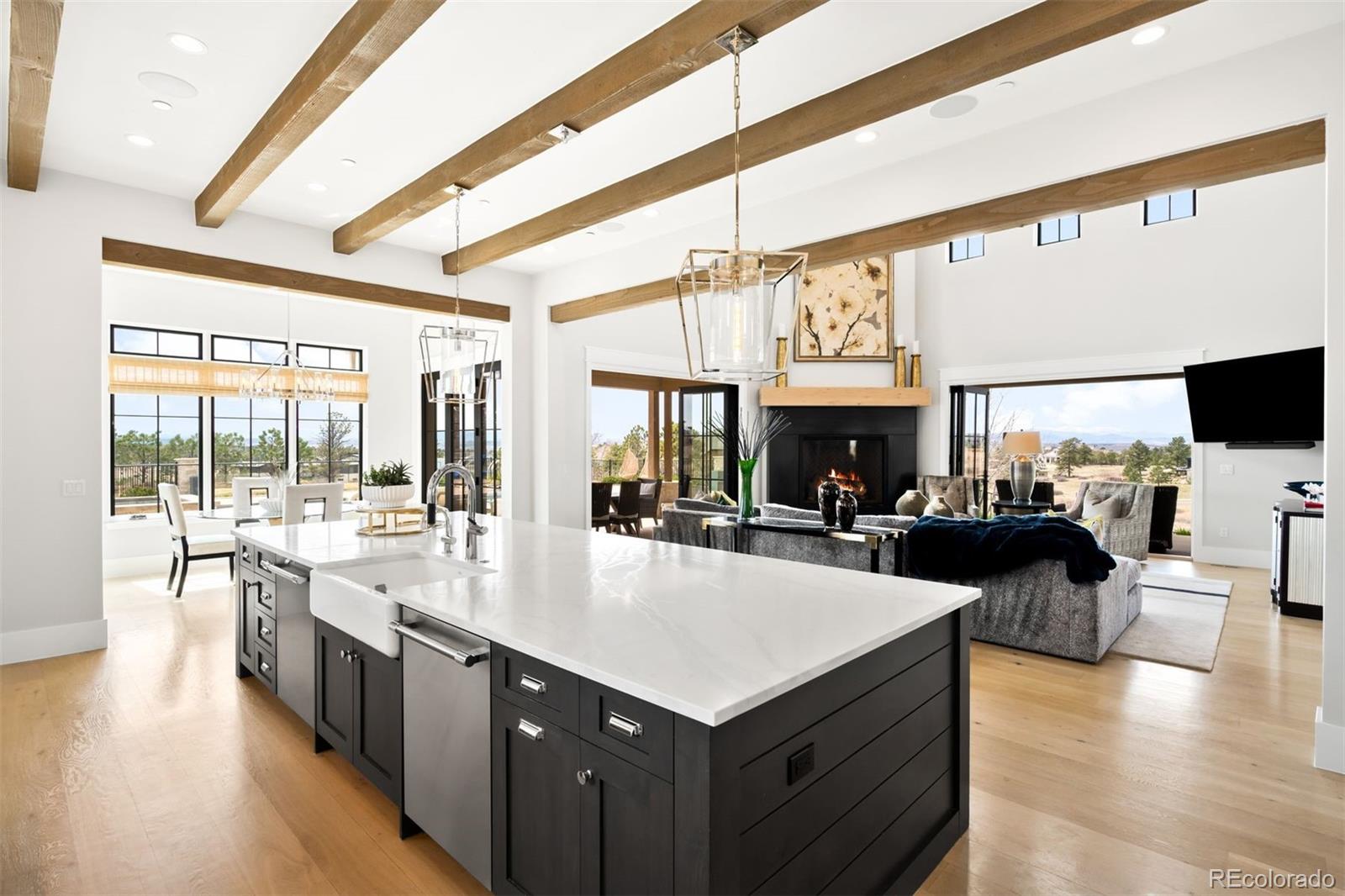 MLS Image #3 for 8758  witez court,parker, Colorado