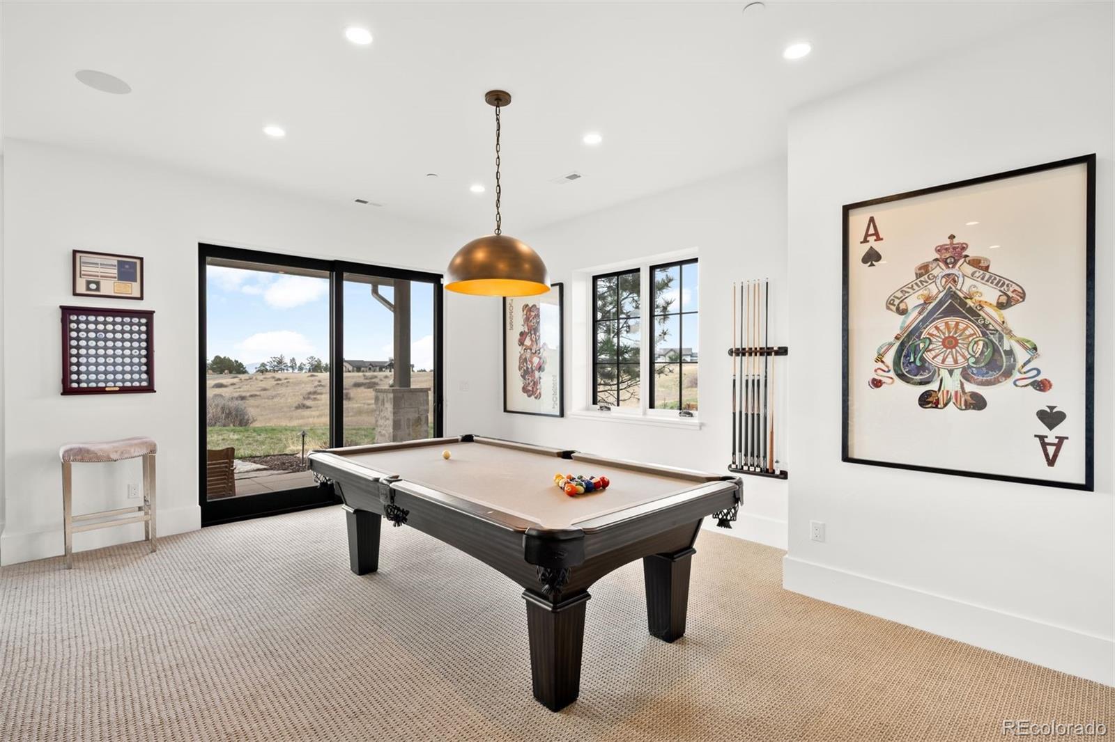 MLS Image #31 for 8758  witez court,parker, Colorado
