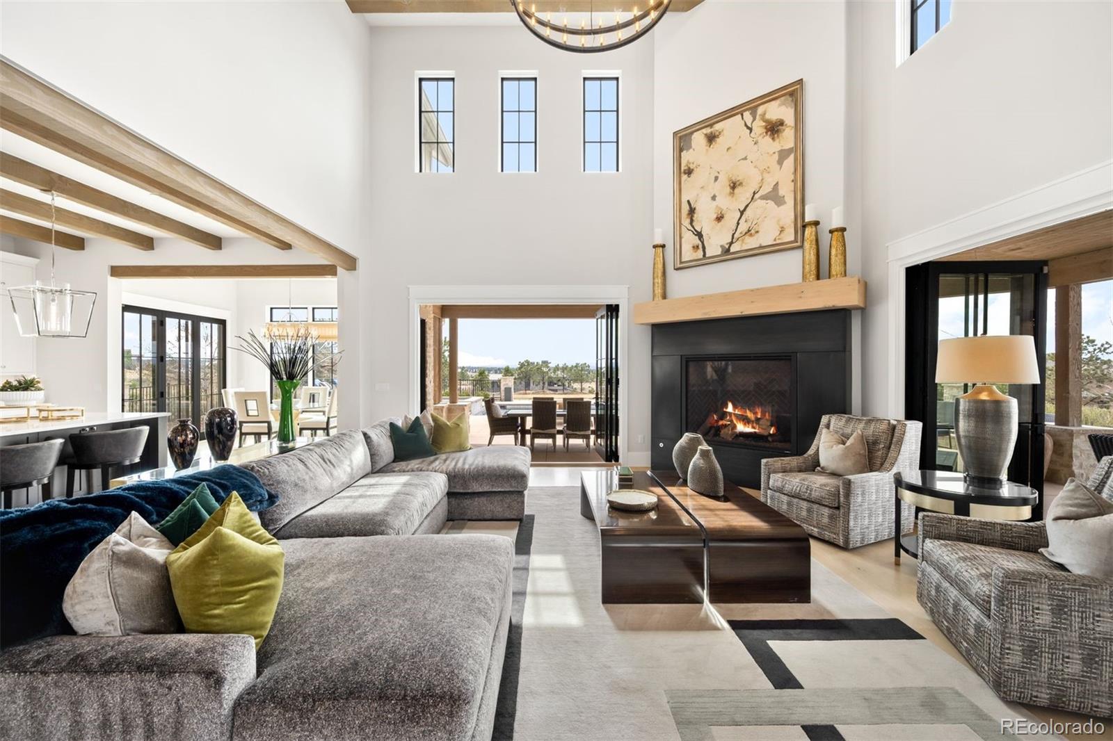 MLS Image #6 for 8758  witez court,parker, Colorado
