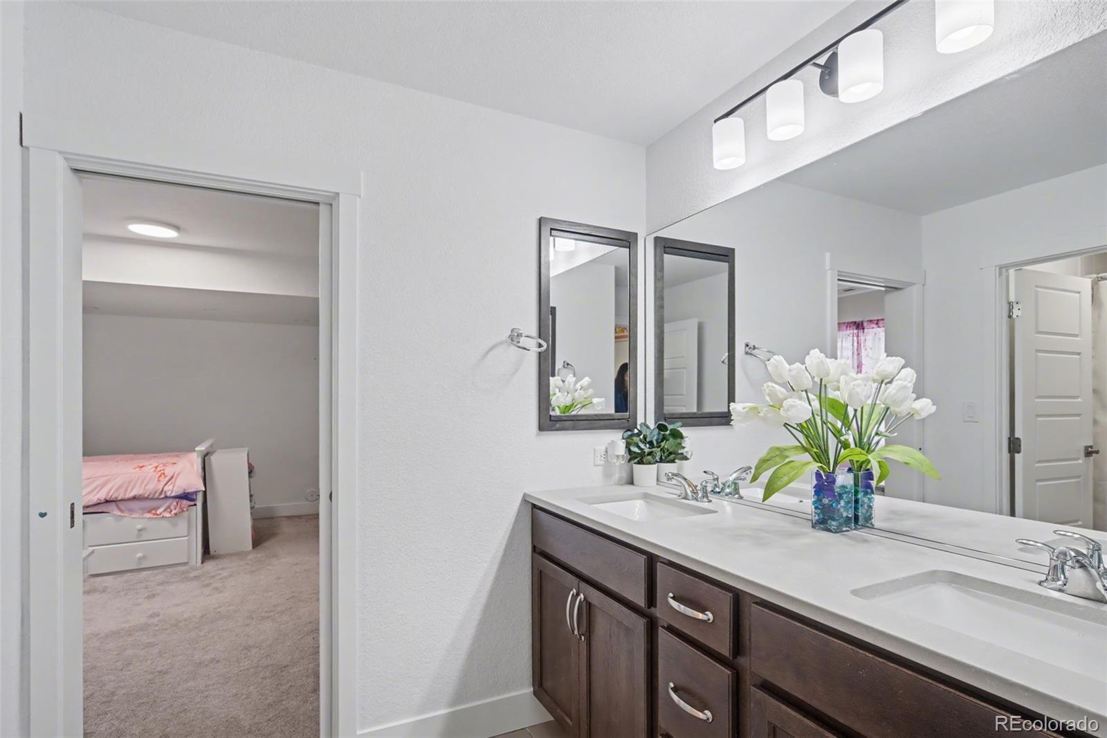 MLS Image #23 for 9234  galley place,colorado springs, Colorado