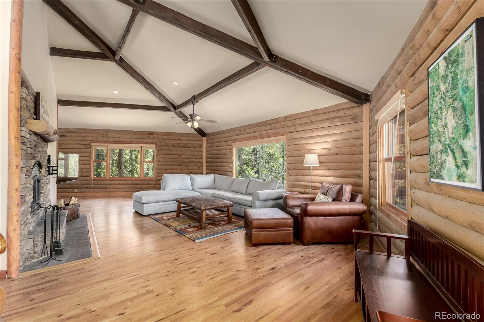 MLS Image #11 for 260  pine drive,idaho springs, Colorado