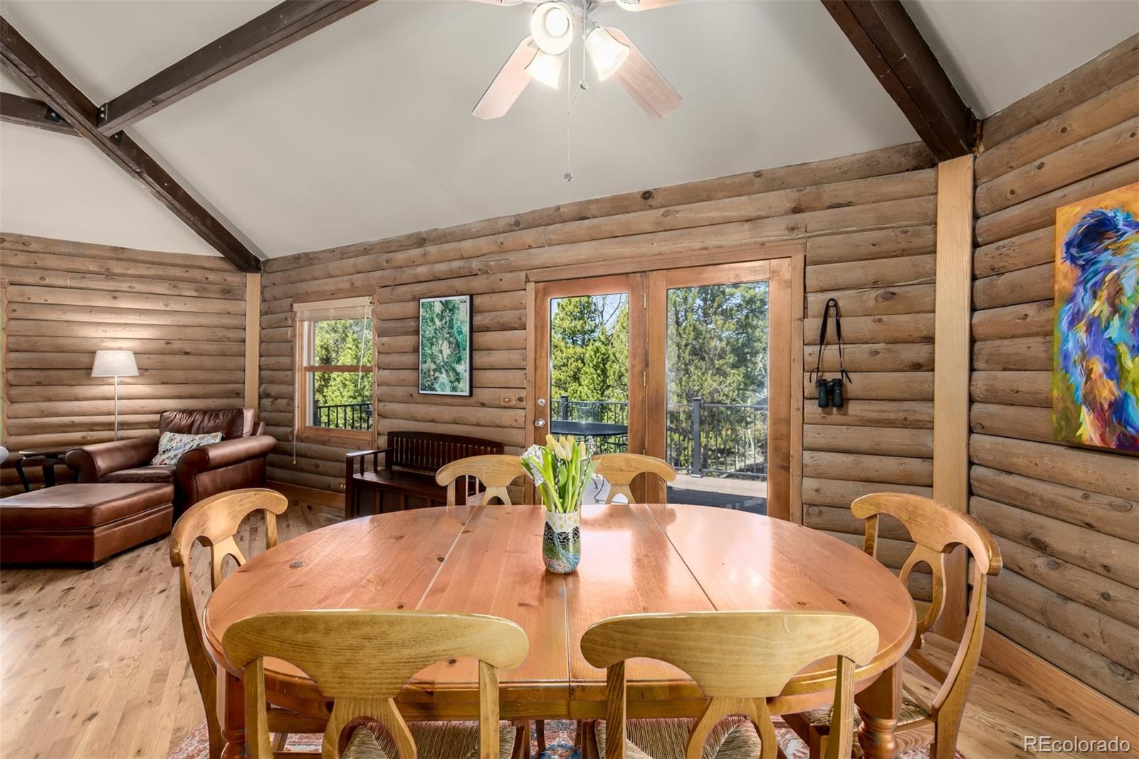 MLS Image #14 for 260  pine drive,idaho springs, Colorado