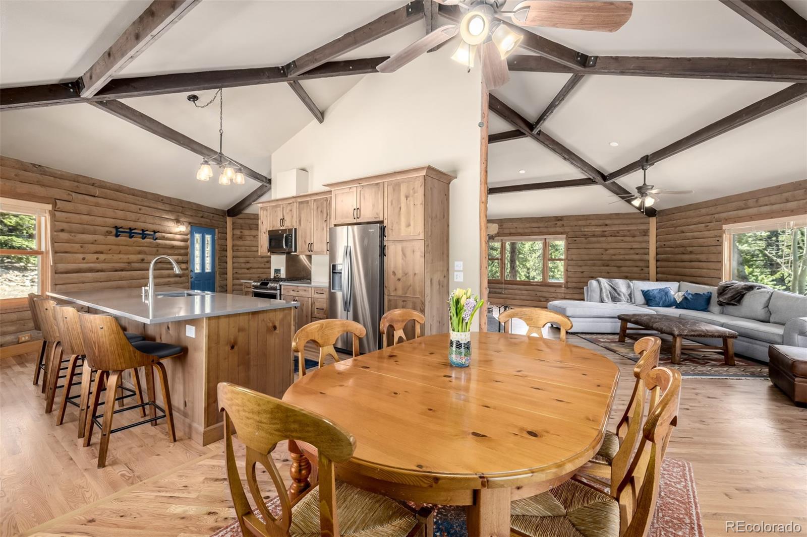 MLS Image #15 for 260  pine drive,idaho springs, Colorado