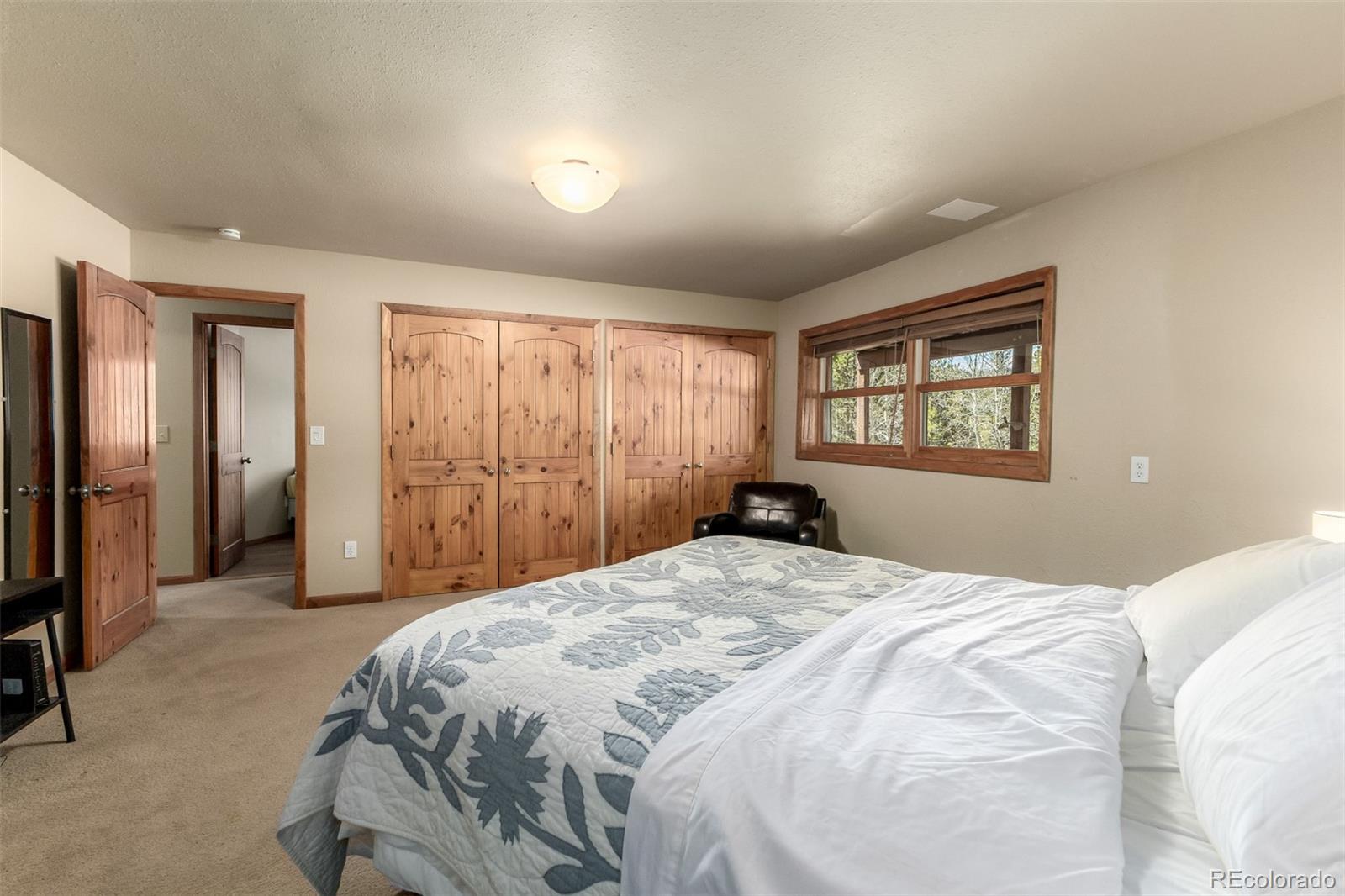 MLS Image #17 for 260  pine drive,idaho springs, Colorado