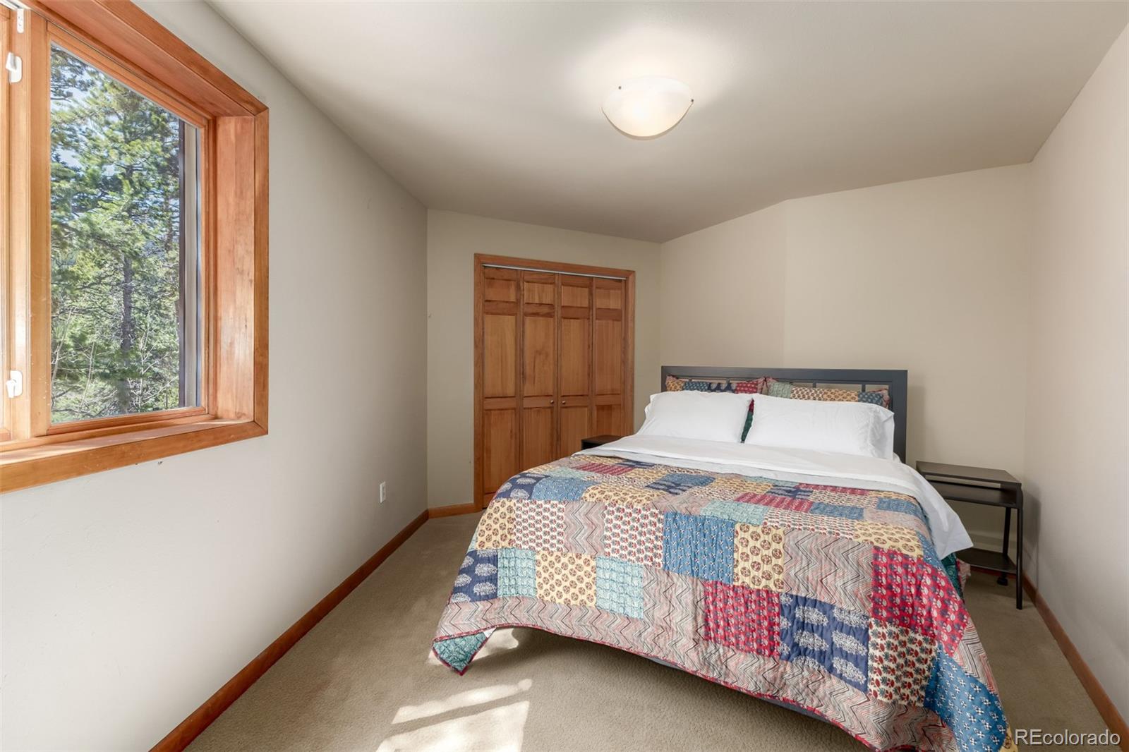MLS Image #19 for 260  pine drive,idaho springs, Colorado