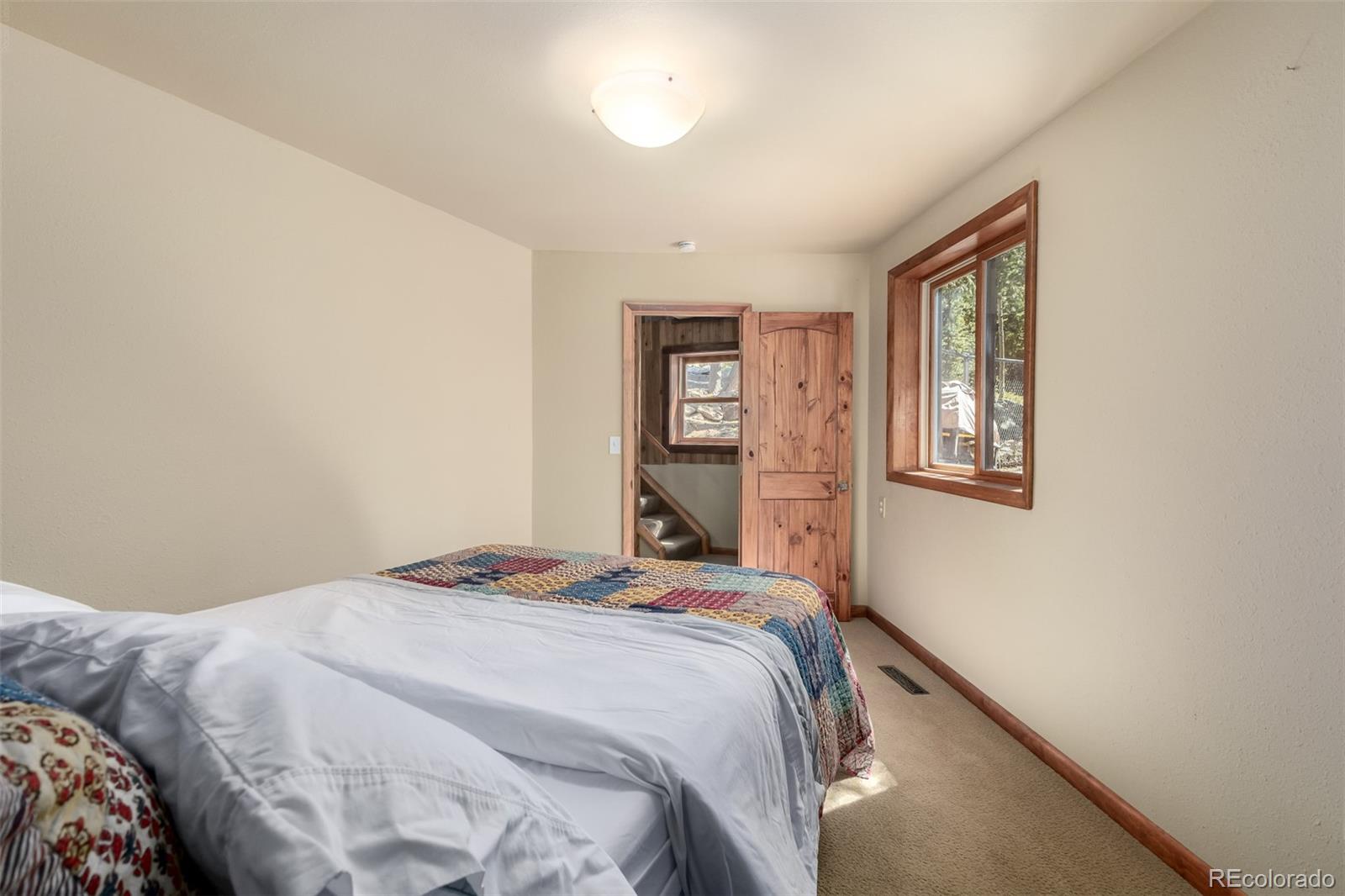 MLS Image #20 for 260  pine drive,idaho springs, Colorado