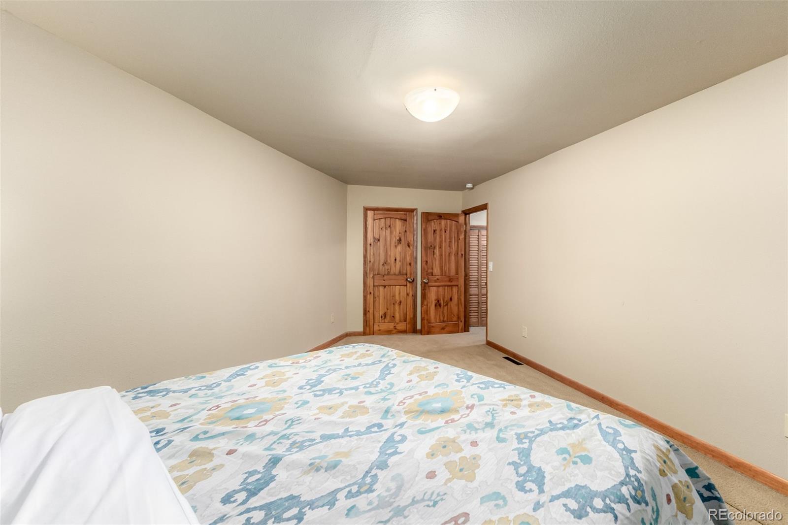 MLS Image #22 for 260  pine drive,idaho springs, Colorado