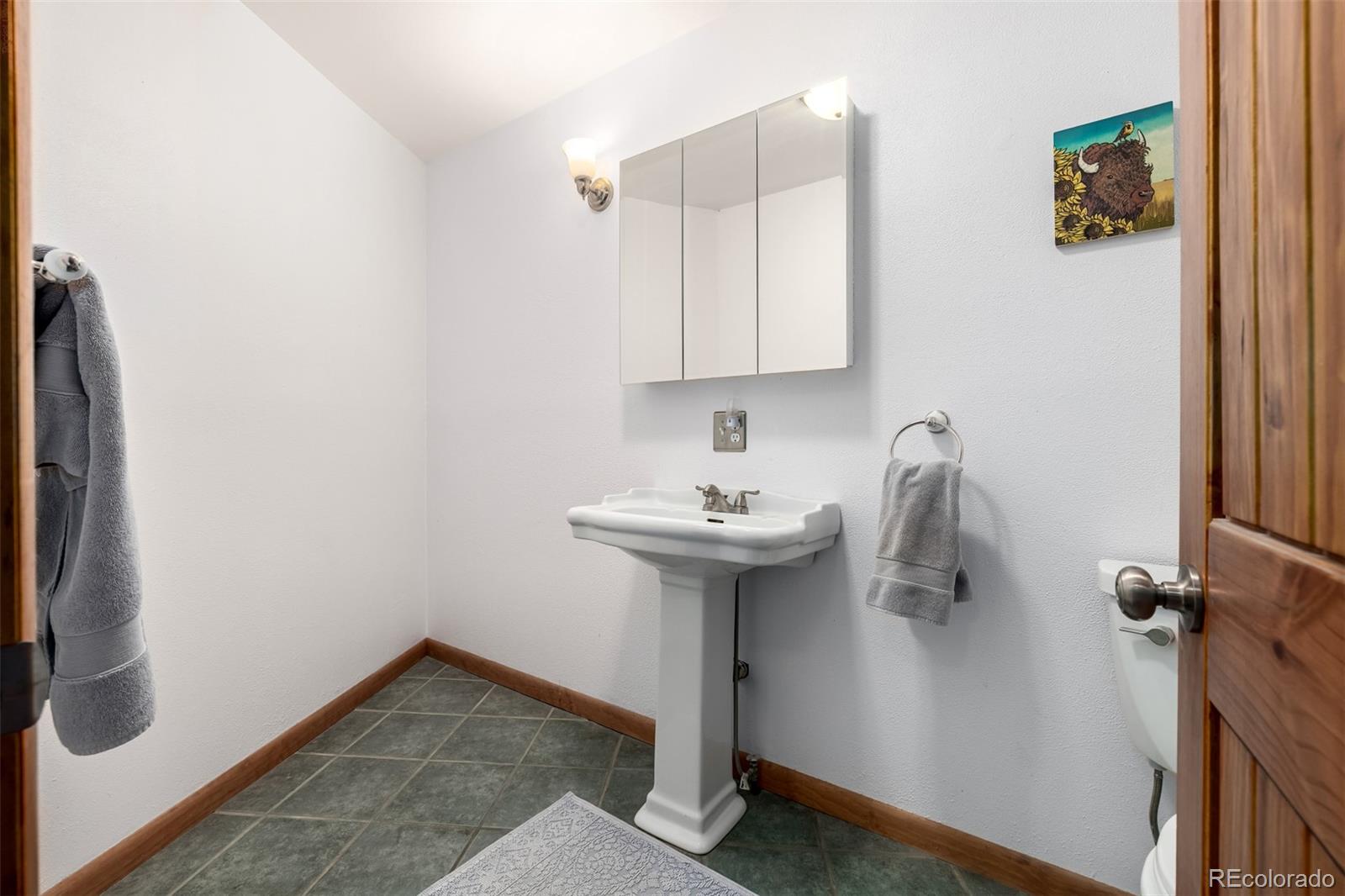 MLS Image #26 for 260  pine drive,idaho springs, Colorado