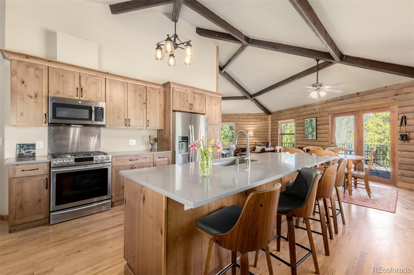MLS Image #3 for 260  pine drive,idaho springs, Colorado