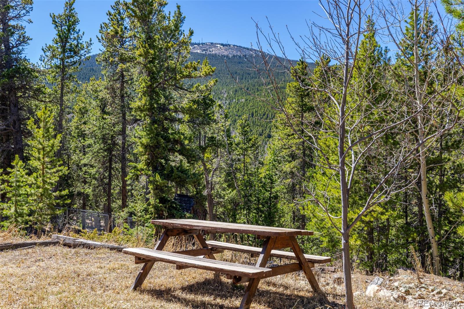 MLS Image #39 for 260  pine drive,idaho springs, Colorado