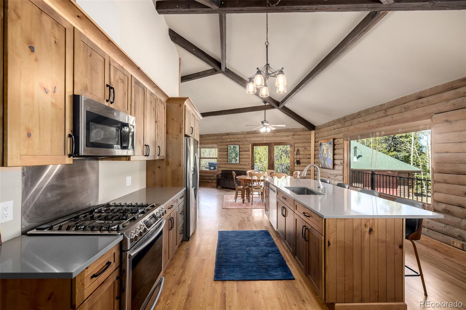 MLS Image #4 for 260  pine drive,idaho springs, Colorado