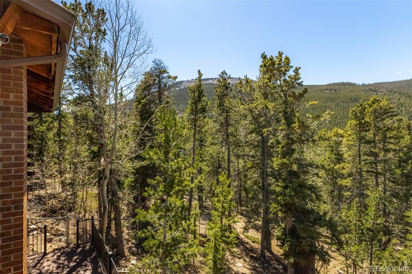 MLS Image #41 for 260  pine drive,idaho springs, Colorado