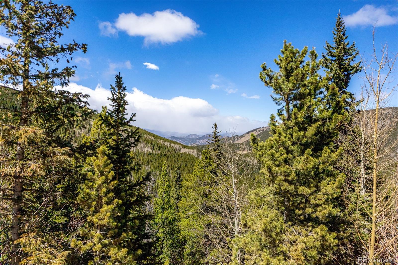 MLS Image #42 for 260  pine drive,idaho springs, Colorado
