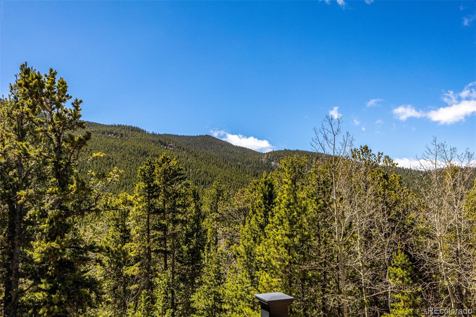 MLS Image #43 for 260  pine drive,idaho springs, Colorado