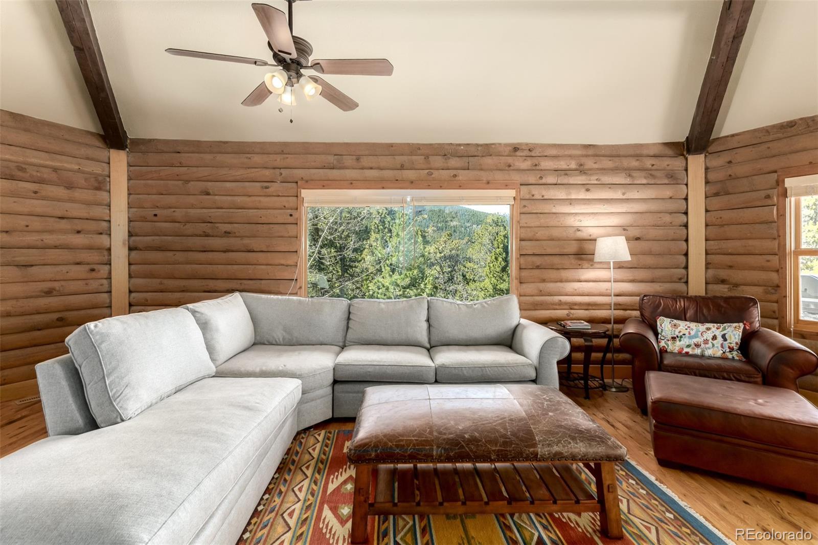 MLS Image #8 for 260  pine drive,idaho springs, Colorado