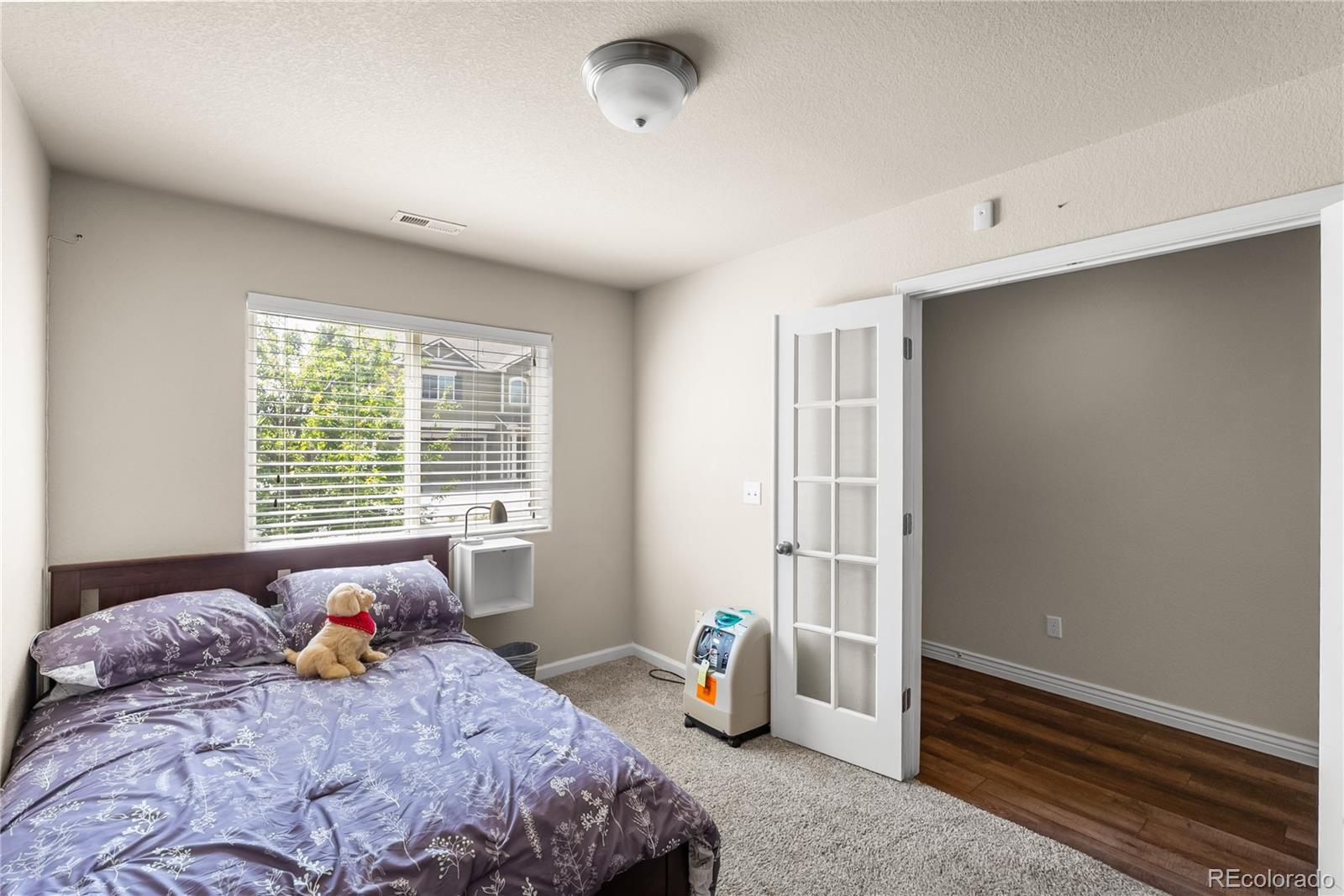 MLS Image #6 for 4044  silver star grove,colorado springs, Colorado