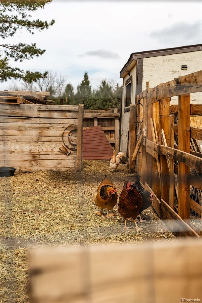 MLS Image #20 for 308  sorrel street,wellington, Colorado