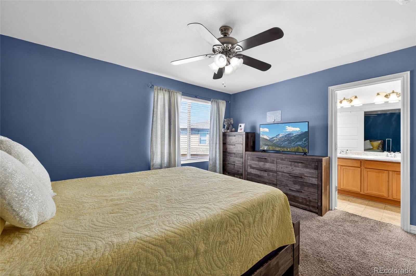 MLS Image #15 for 18619 e 50th place,denver, Colorado