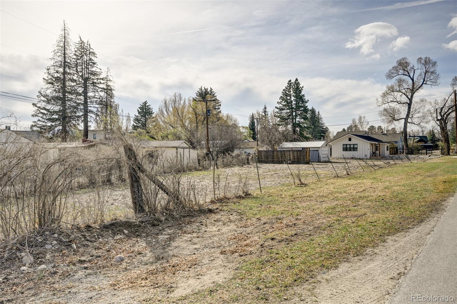 MLS Image #7 for 125 n pleasant avenue,buena vista, Colorado