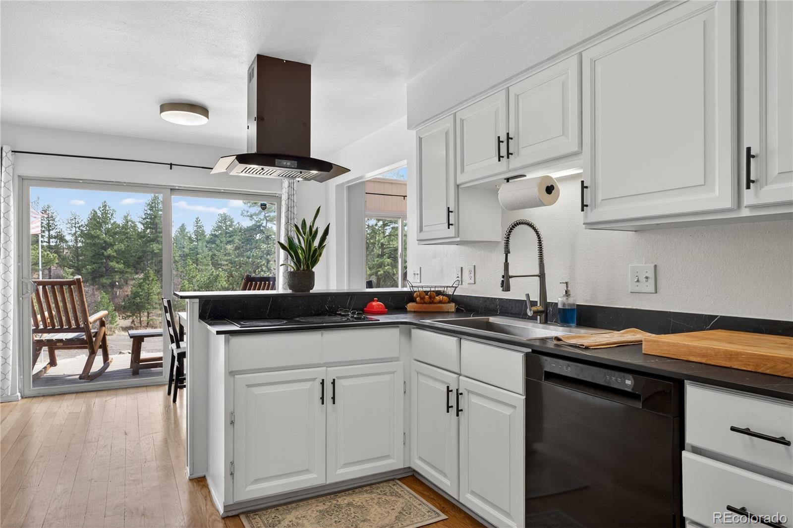 MLS Image #10 for 1730  ward circle,franktown, Colorado