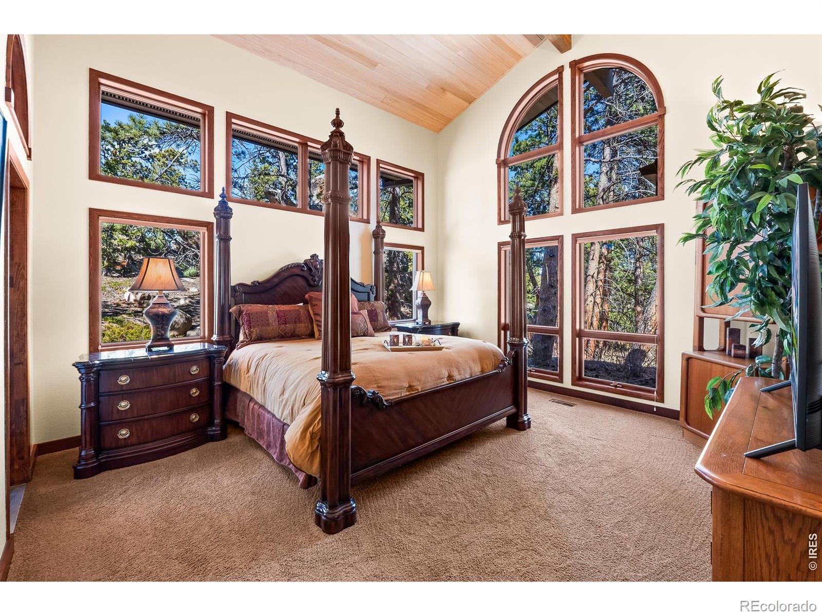 MLS Image #17 for 2415  fox acres drive,red feather lakes, Colorado