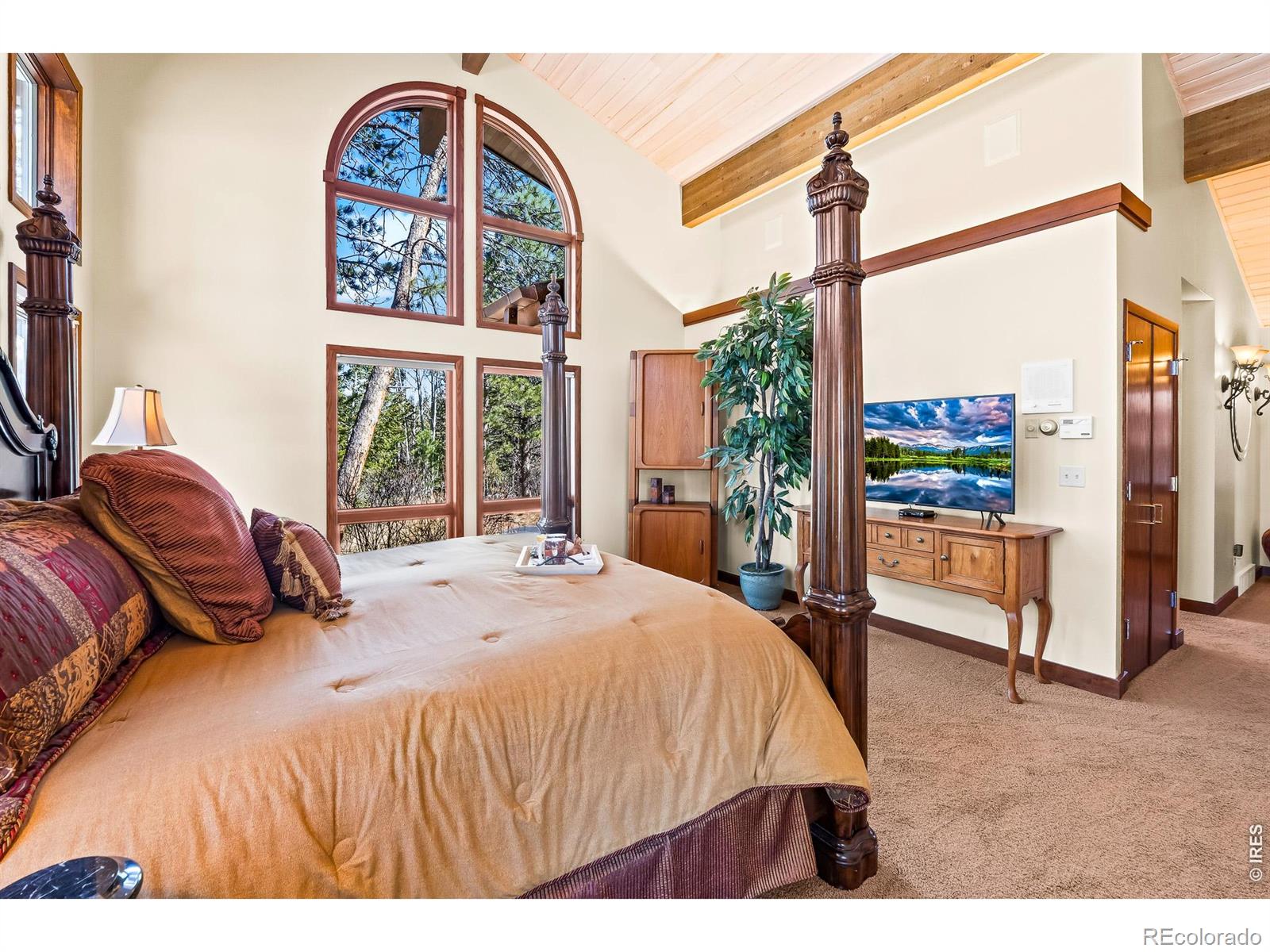 MLS Image #19 for 2415  fox acres drive,red feather lakes, Colorado