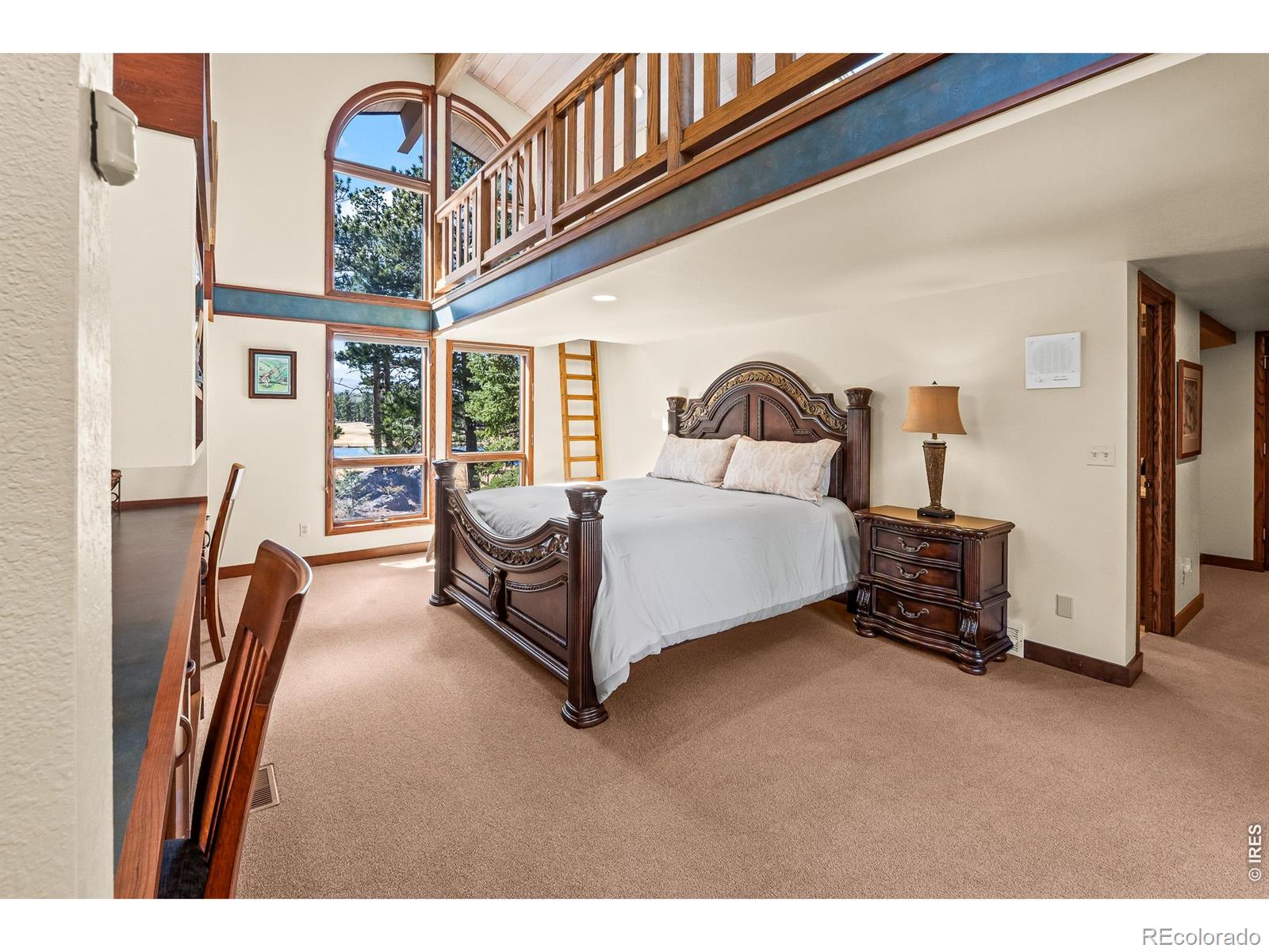 MLS Image #43 for 2415  fox acres drive,red feather lakes, Colorado