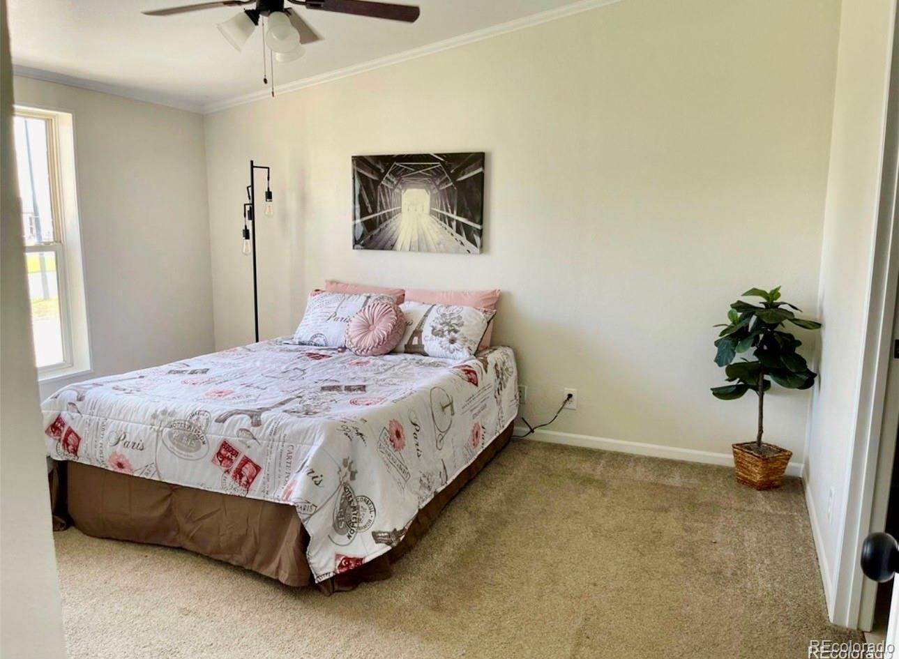 MLS Image #11 for 363  shasta court,kiowa, Colorado