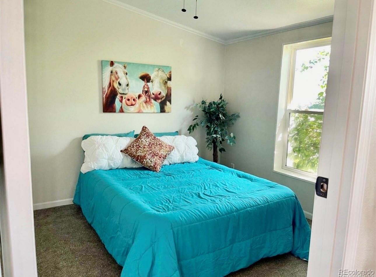 MLS Image #15 for 363  shasta court,kiowa, Colorado