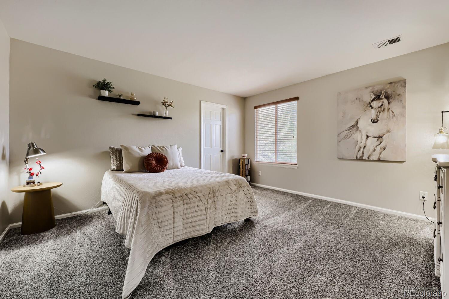 MLS Image #22 for 4141  storm cloud way,castle rock, Colorado