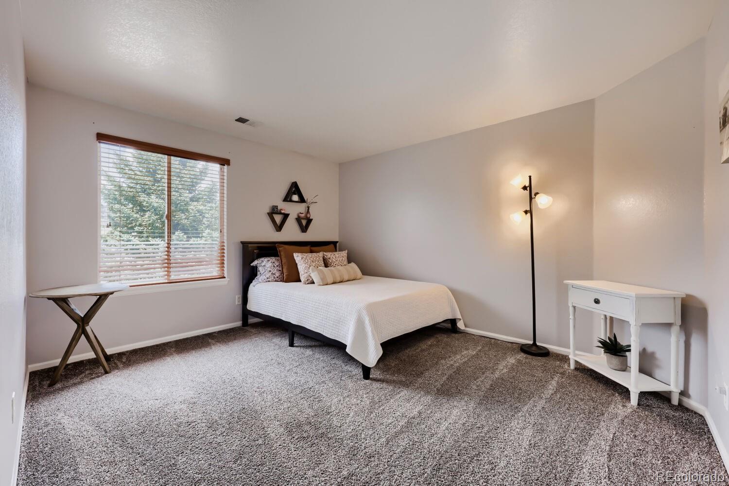 MLS Image #23 for 4141  storm cloud way,castle rock, Colorado