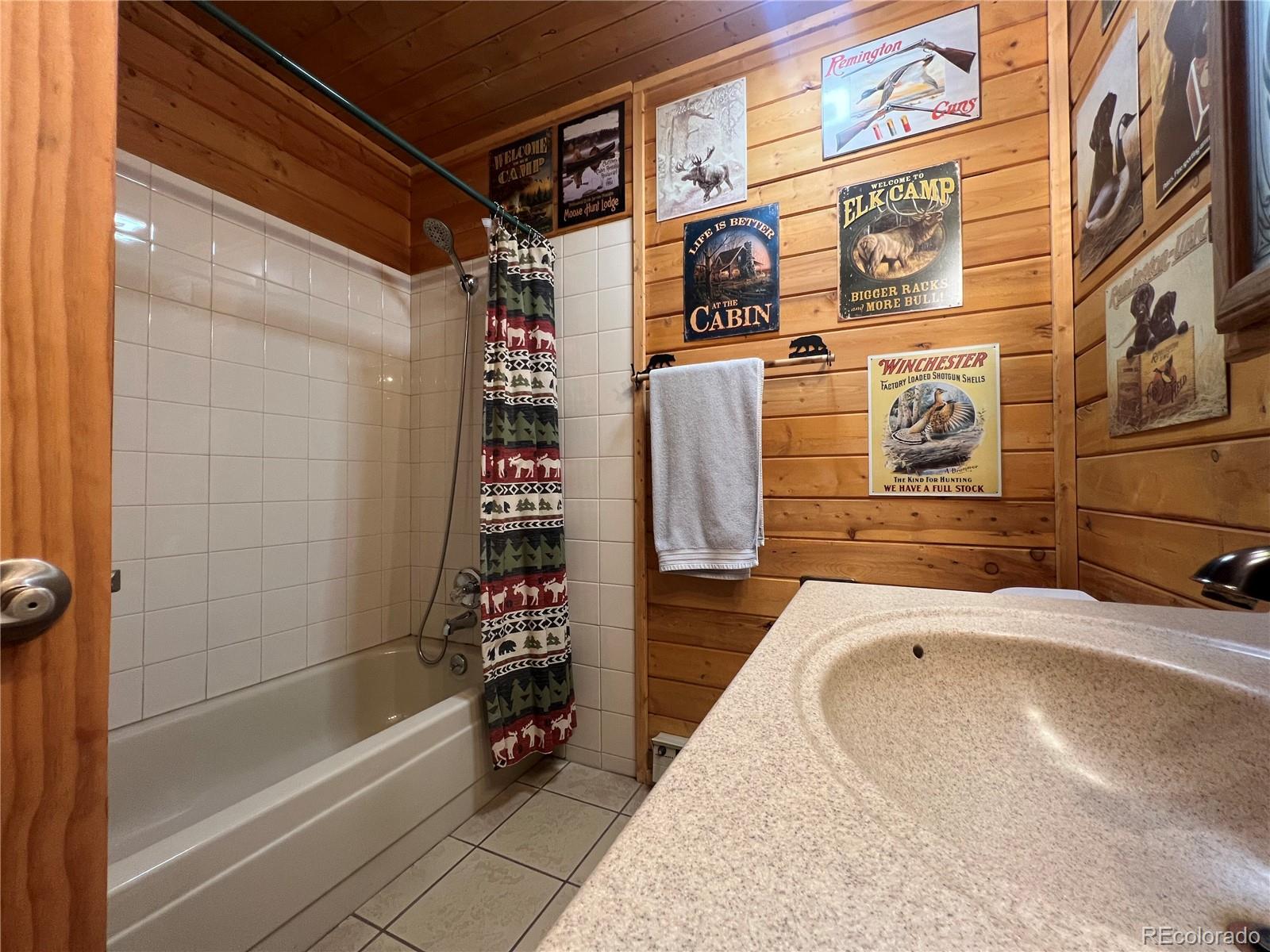MLS Image #17 for 29529  thunderbolt circle,conifer, Colorado