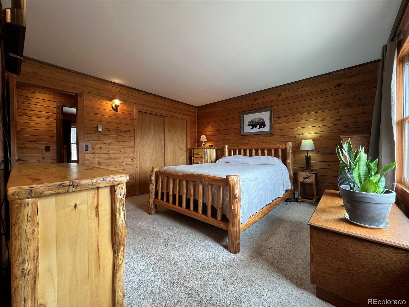 MLS Image #20 for 29529  thunderbolt circle,conifer, Colorado