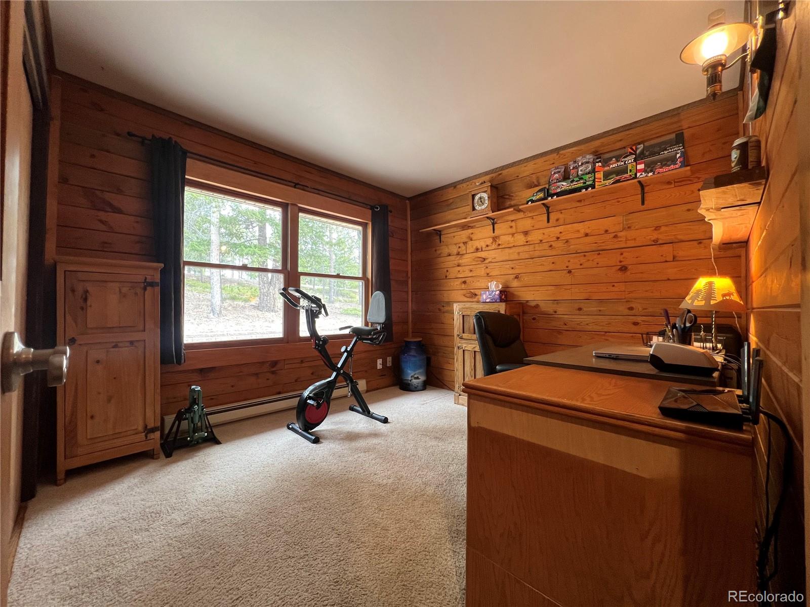 MLS Image #21 for 29529  thunderbolt circle,conifer, Colorado