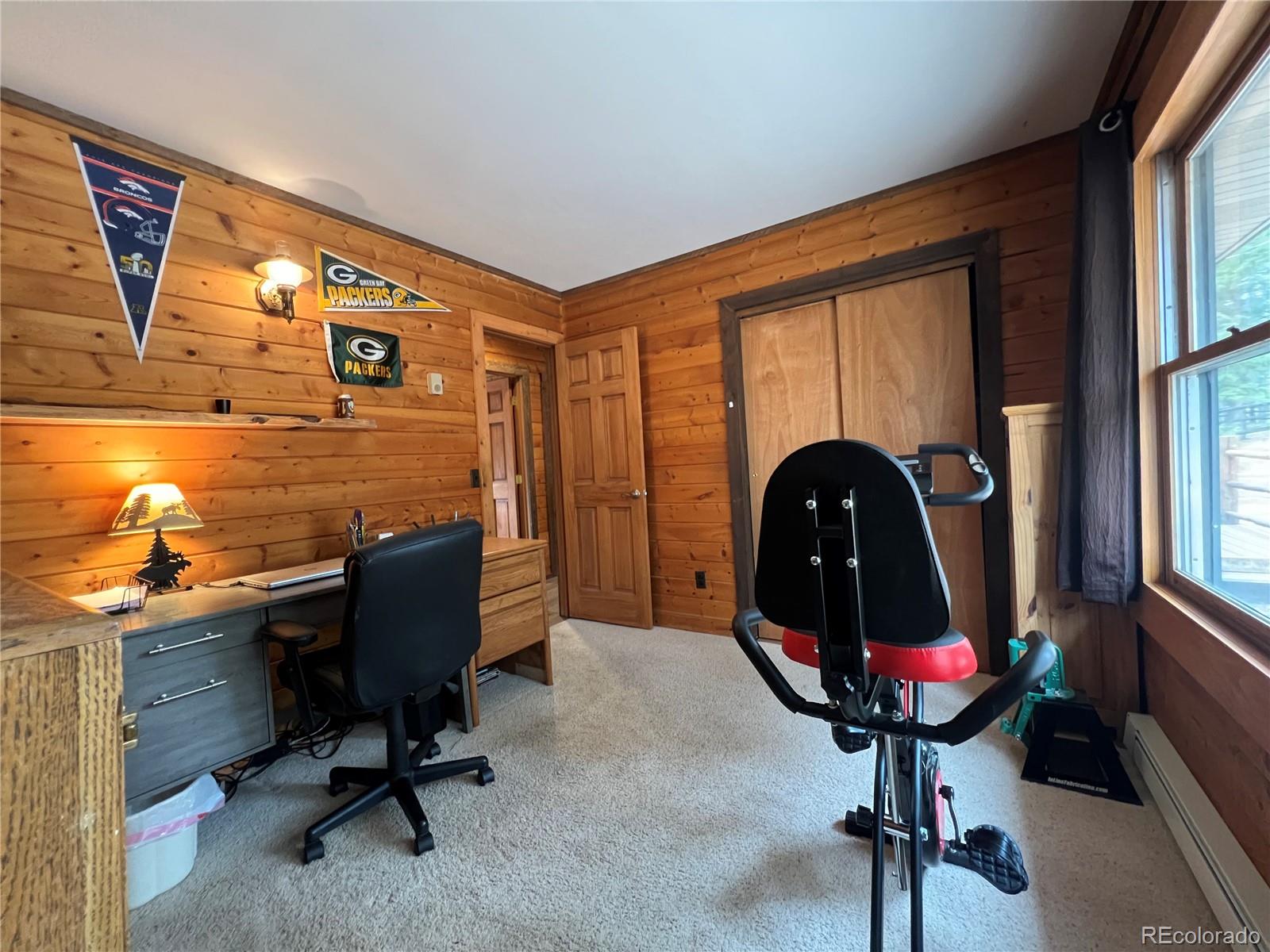 MLS Image #22 for 29529  thunderbolt circle,conifer, Colorado