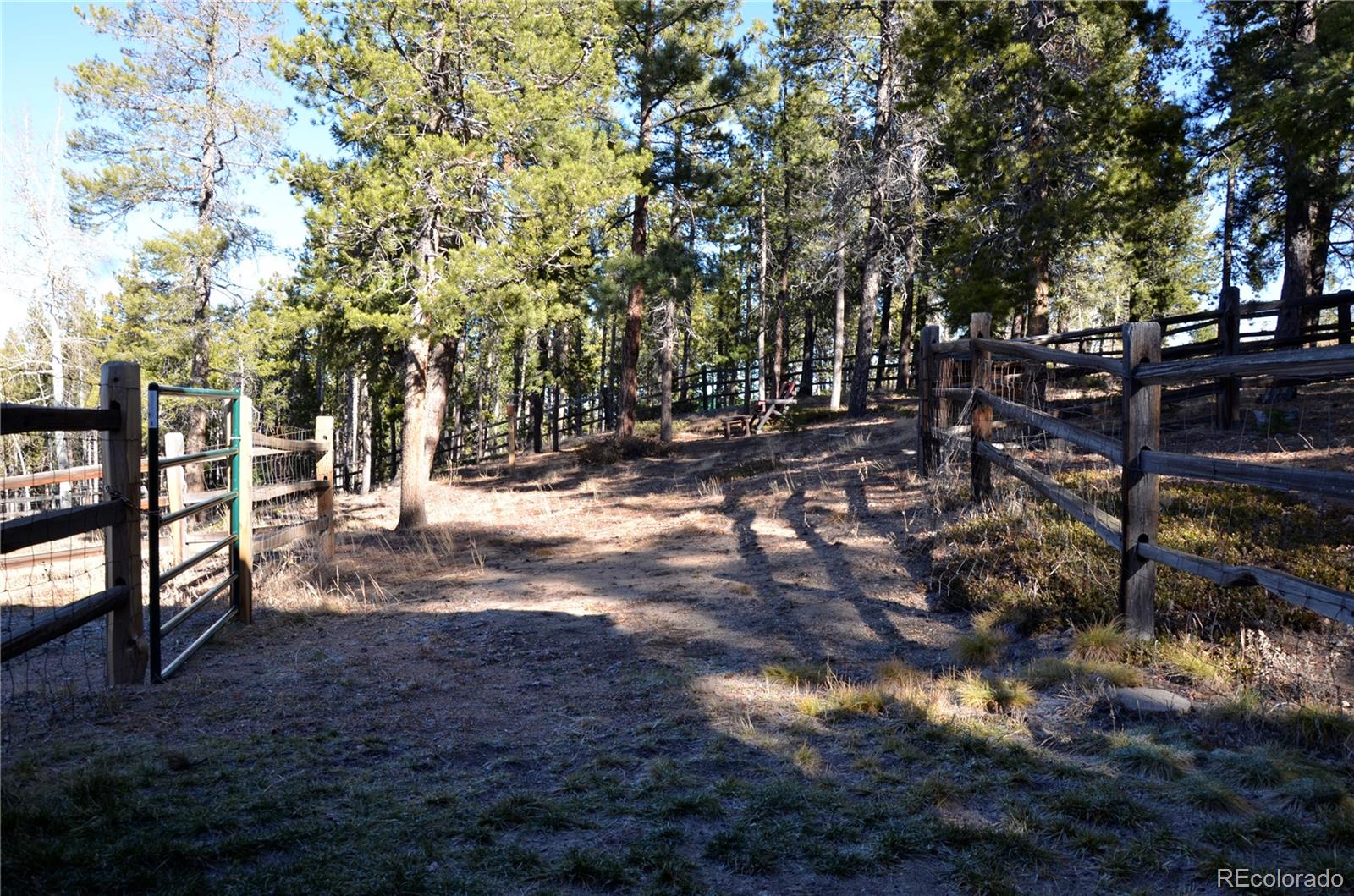MLS Image #28 for 29529  thunderbolt circle,conifer, Colorado