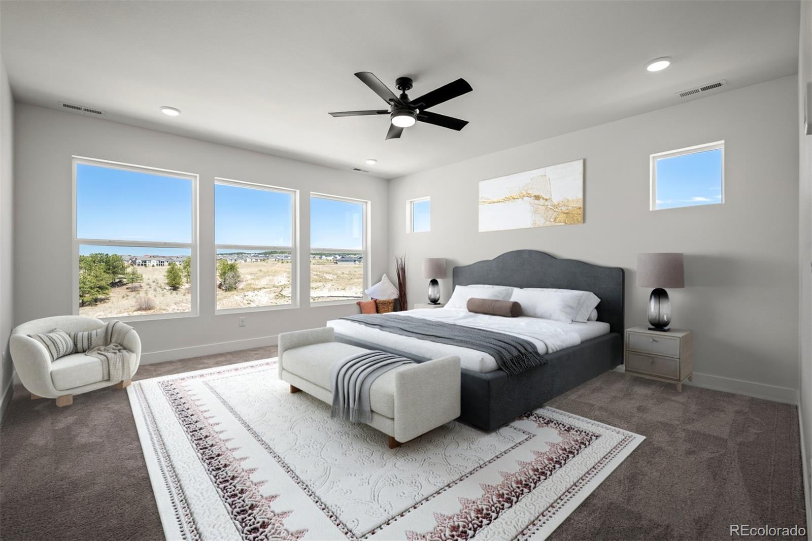 MLS Image #17 for 9000  frolic view,colorado springs, Colorado