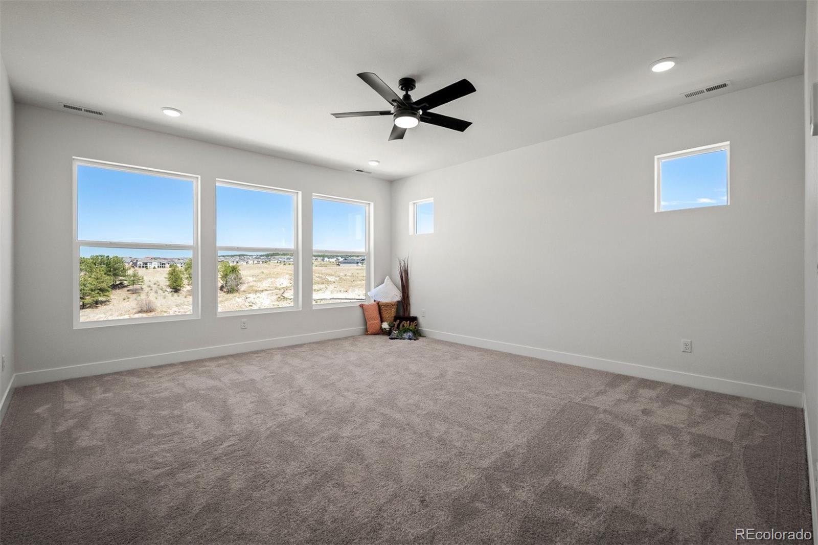MLS Image #18 for 9000  frolic view,colorado springs, Colorado