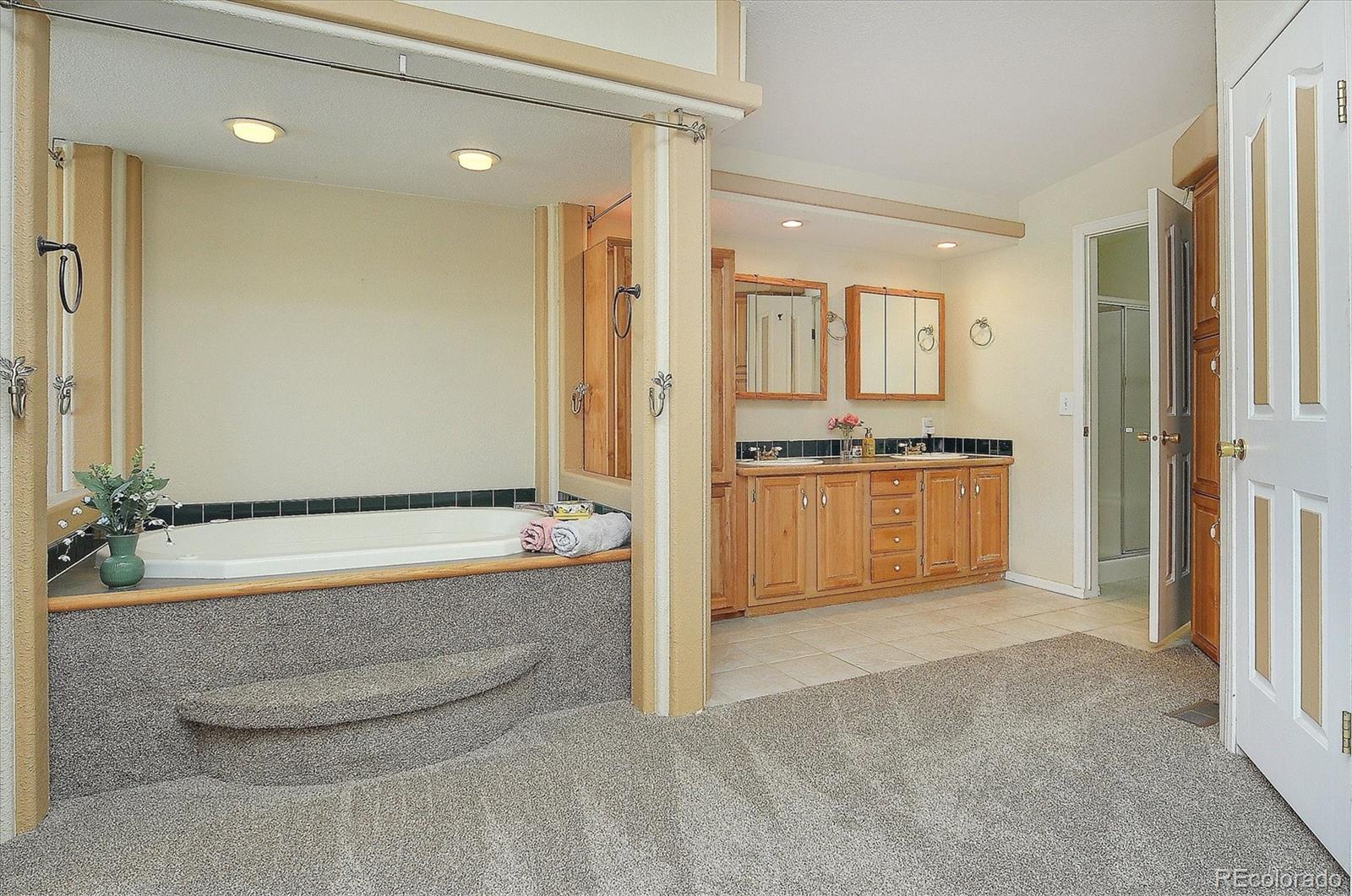 MLS Image #22 for 16370  county road 356-12 ,buena vista, Colorado