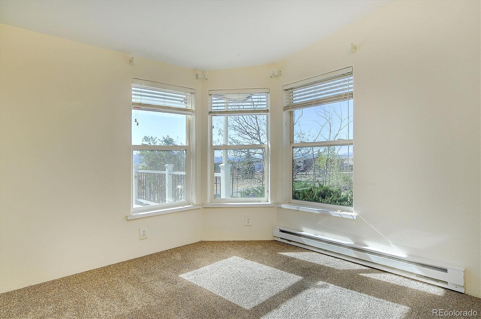 MLS Image #27 for 16370  county road 356-12 ,buena vista, Colorado