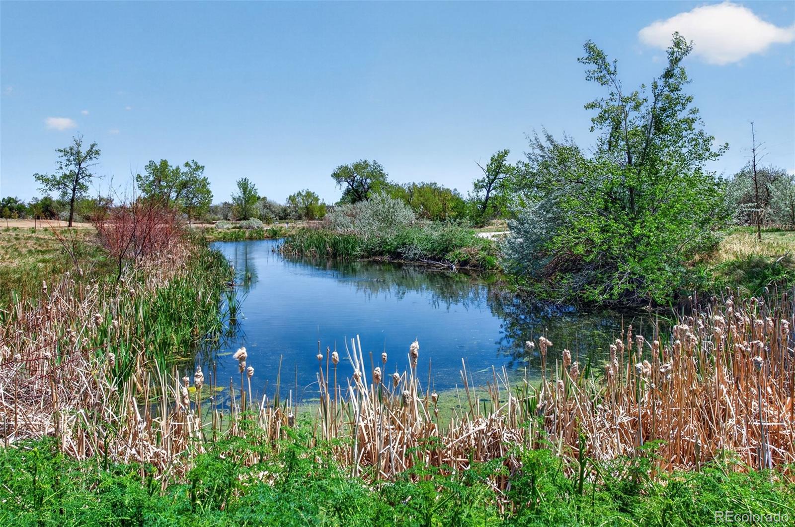 MLS Image #44 for 12254 w 56th place,arvada, Colorado