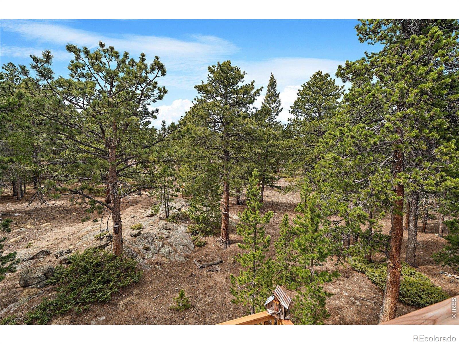 MLS Image #23 for 902  rock lake road,ward, Colorado