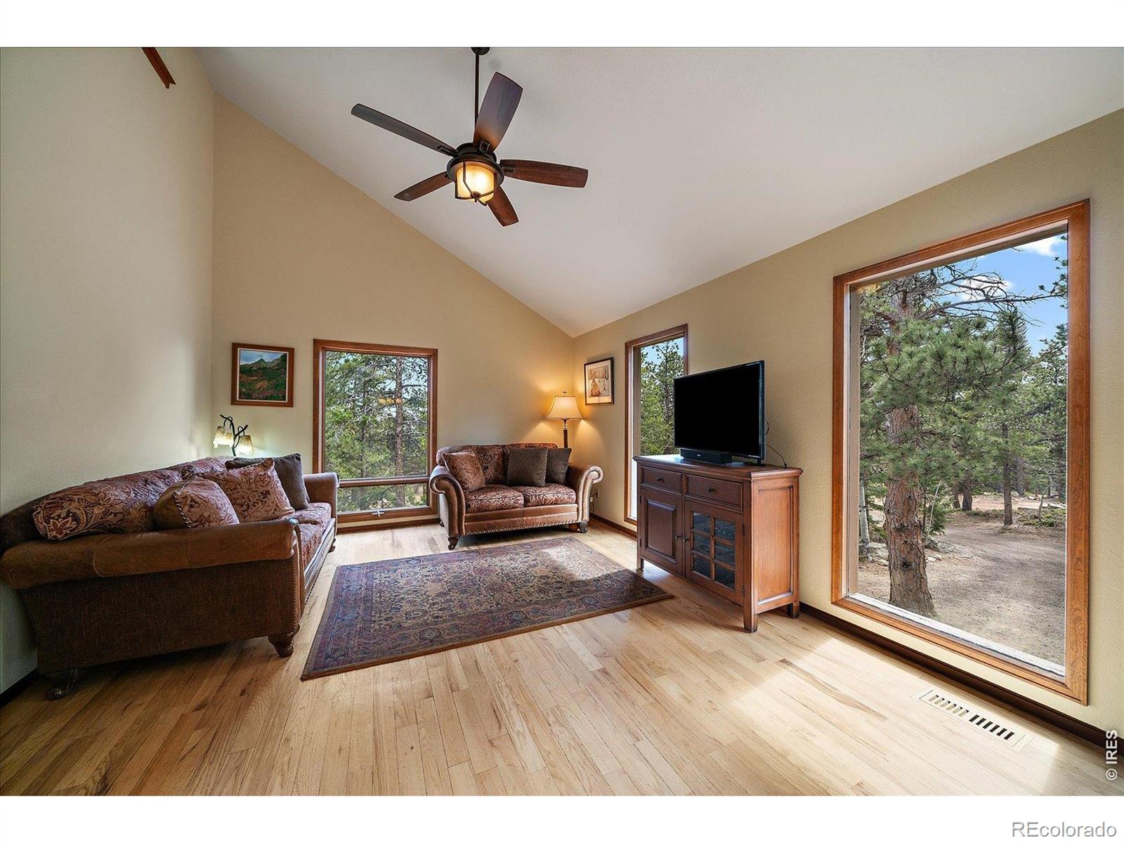 MLS Image #9 for 902  rock lake road,ward, Colorado
