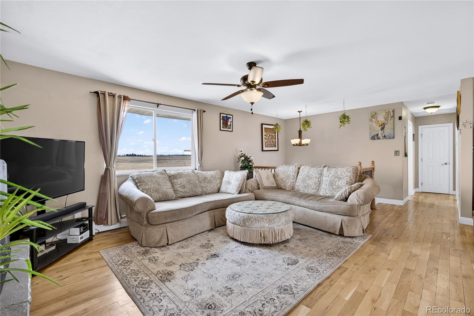 MLS Image #7 for 12626 n 1st street,parker, Colorado