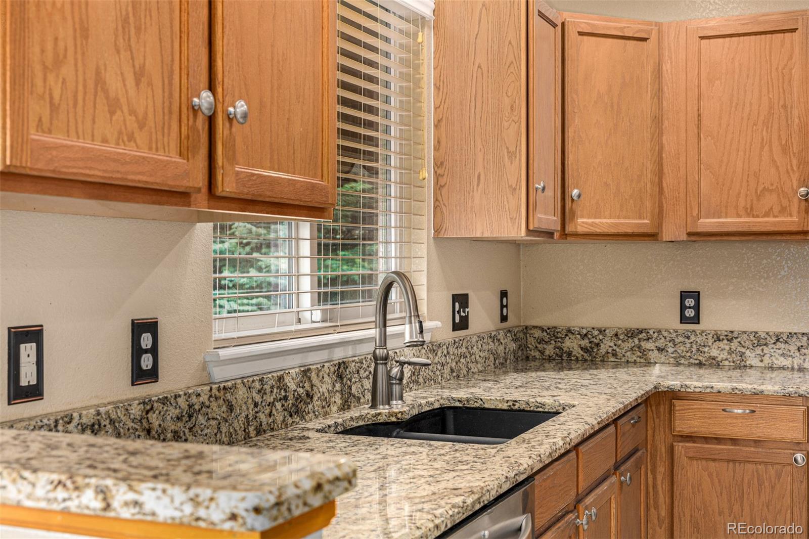 MLS Image #18 for 10244  royal eagle street,highlands ranch, Colorado