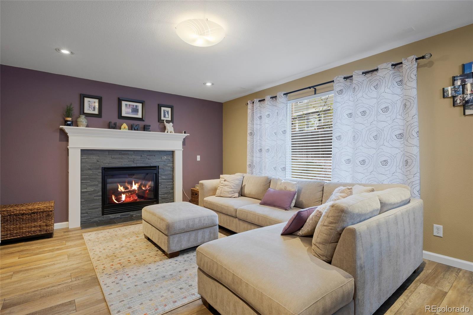 MLS Image #13 for 21341  white ash court,parker, Colorado