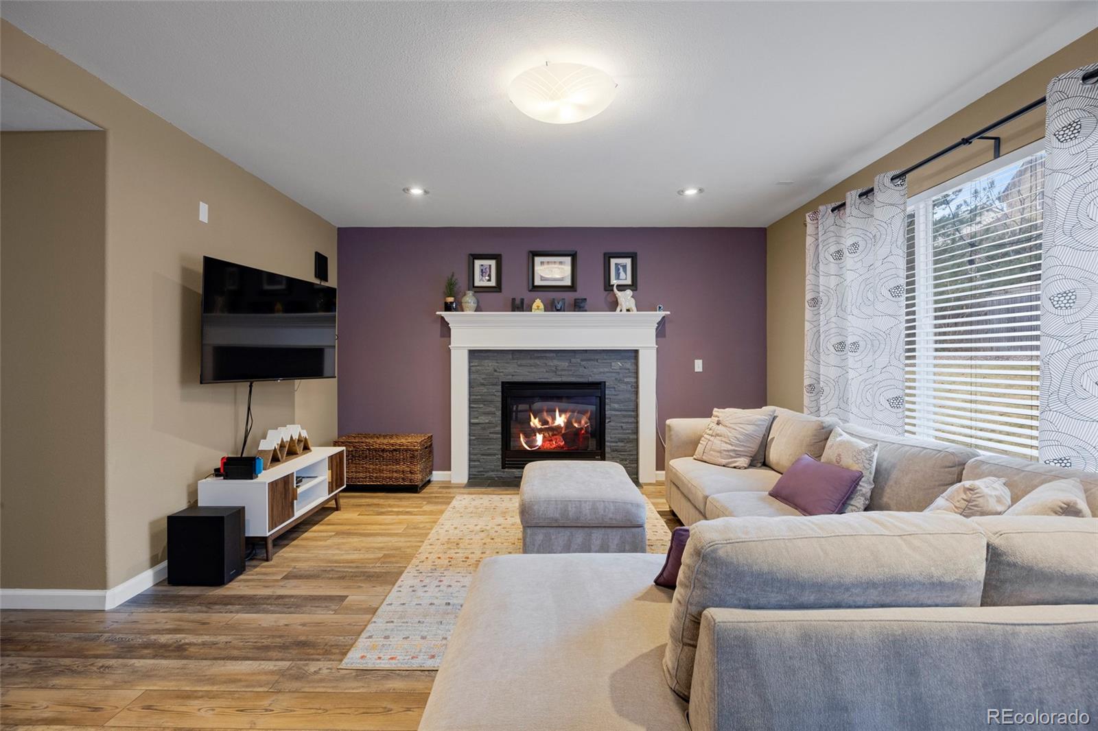 MLS Image #14 for 21341  white ash court,parker, Colorado