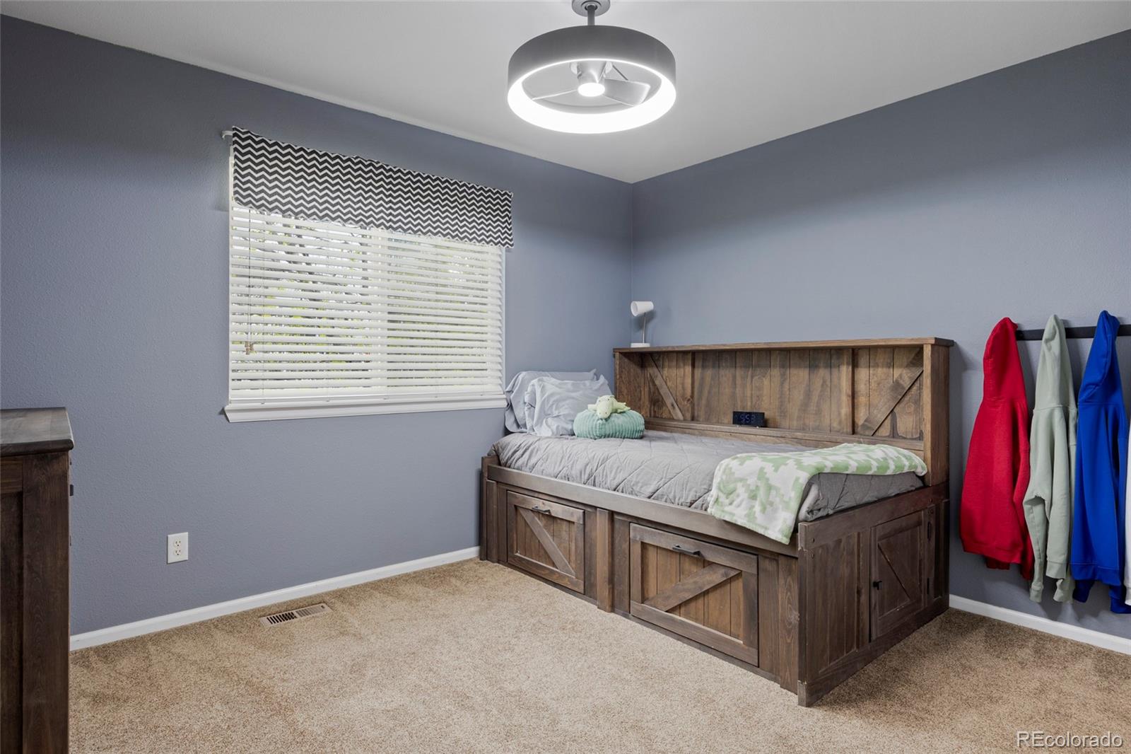 MLS Image #19 for 21341  white ash court,parker, Colorado