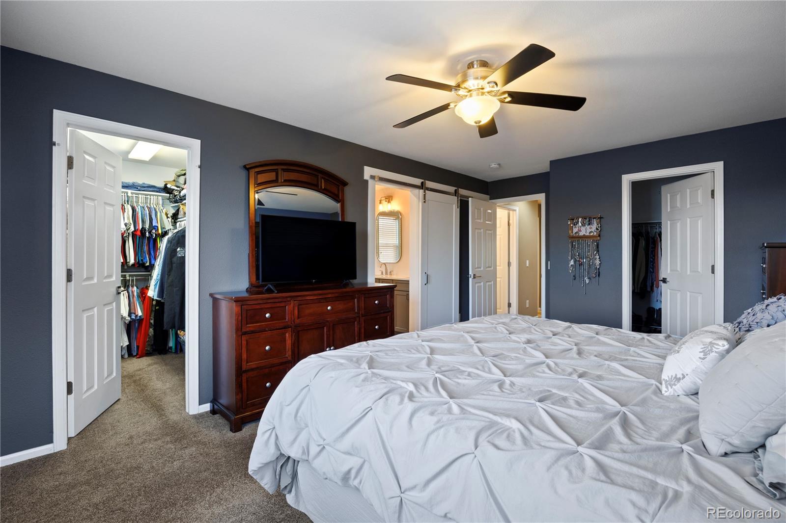 MLS Image #26 for 21341  white ash court,parker, Colorado